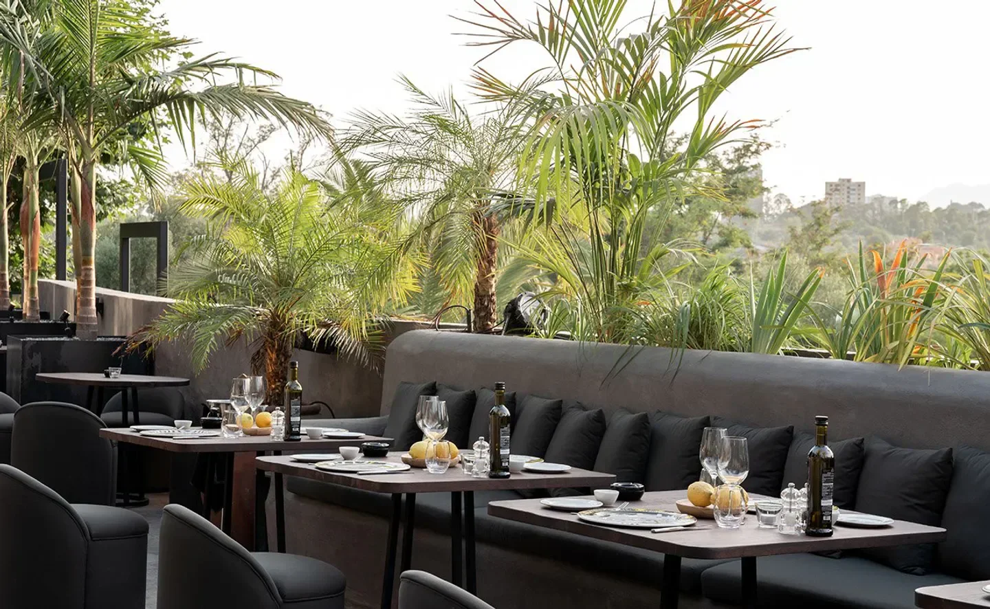 Outdoor dining at Mamzel in Marbella, with tables set among lush palm trees.