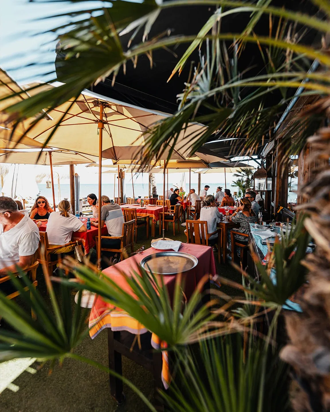 Trocadero Playa restaurant interior with outdoor seating and umbrellas, offering a view of the city and ocean.